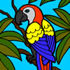Beautiful Parrot Coloring